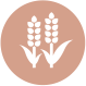 Grain icon