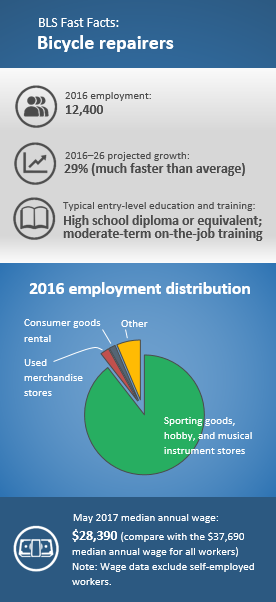 2016 employment: 12,400. 2016–26 projected growth: 29 percent (much faster than average). Typical entry-level education and training: High school diploma or equivalent; moderate-term on-the-job training. 2016 employment distribution: Sporting goods, hobby, and musical instrument stores (89.5%); used merchandise stores (2.4%); consumer goods rental (1.7%); other (6.4%) 