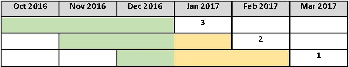 Chart 1: Months in scope for quarter 5 (FMLI171)