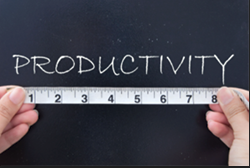 Cover image of word productivity being measured by ruler.