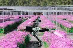 Artificial intelligence watering flowers