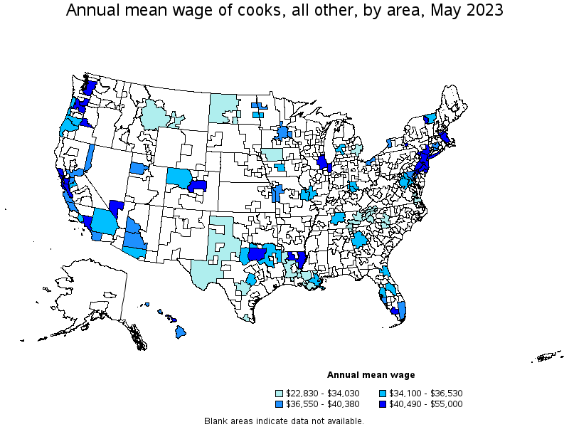 Map of annual mean wages of cooks, all other by area, May 2022