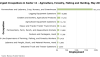 Charts of the largest occupations in each industry, May 2021