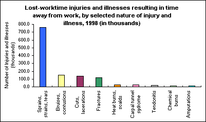 Lost-worktime injuries and illnesses resulting in time away from work, by selected nature of injury and illness, 1998 (in thousands)