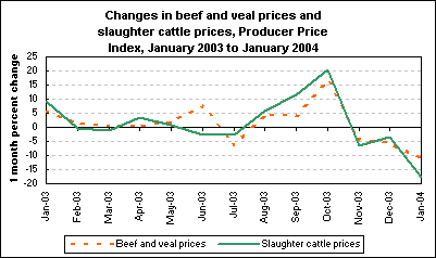 Changes in beef and veal prices and slaughter cattle prices, Producer Price Index, January 2003 to January 2004