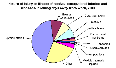 Nature of injury or illness of nonfatal occupational injuries and illnesses involving days away from work, 2003