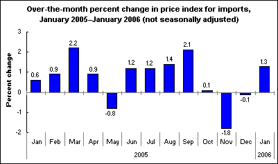 Over-the-month percent change in price index for imports, January 2005–January 2006 (not seasonally adjusted)