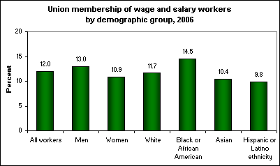 Union membership of wage and salary workers by demographic group, 2006