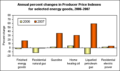 Annual percent changes in Producer Price Indexes for selected energy goods, 2006-2007