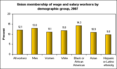 Union membership of wage and salary workers by demographic group, 2007